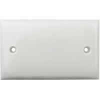 Blank Wall Plate